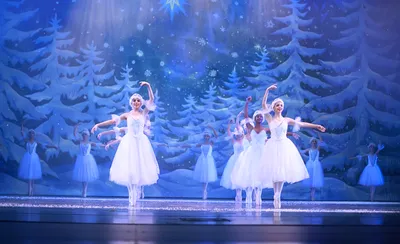 The Nutcracker